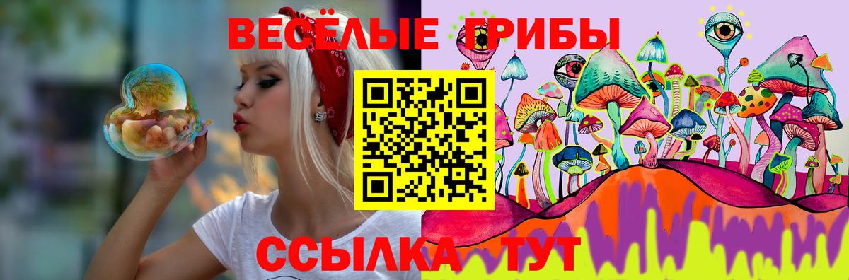 Галлюциногенные грибы Psilocybe Мариинск